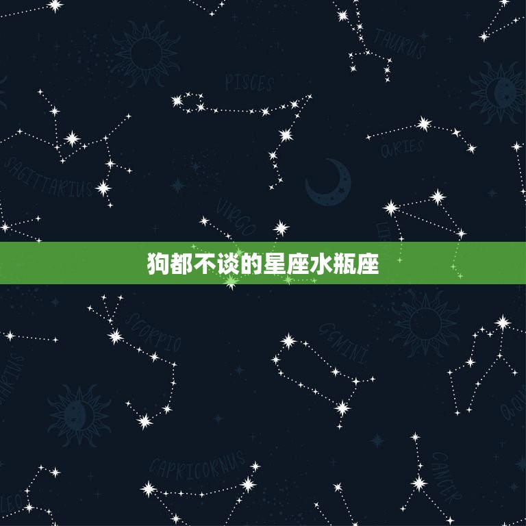 狗都不谈的星座水瓶座(为何不喜欢狗)