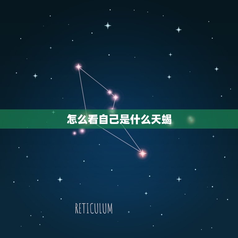 怎么看自己是什么天蝎(探寻你内心深处的星座特质)