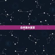水星十二宫相貌为最强(探秘星座与外貌的奥秘)