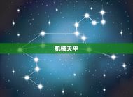 天平的种类有哪些名称(了解不同类型的天平)