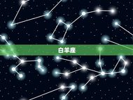 十二星座爱情配对测试(介绍星座之间的真爱缘分)