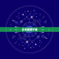 十二星座情侣配对(匹配星座恋爱指南)