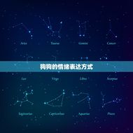 狗不搭理人是生气了吗(介绍狗狗的情绪世界)