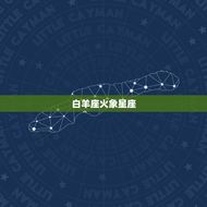 十二星座什么星象属性(探秘星座的性格特点)