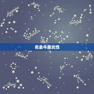 处座男最喜欢的星座女(星座大介绍)