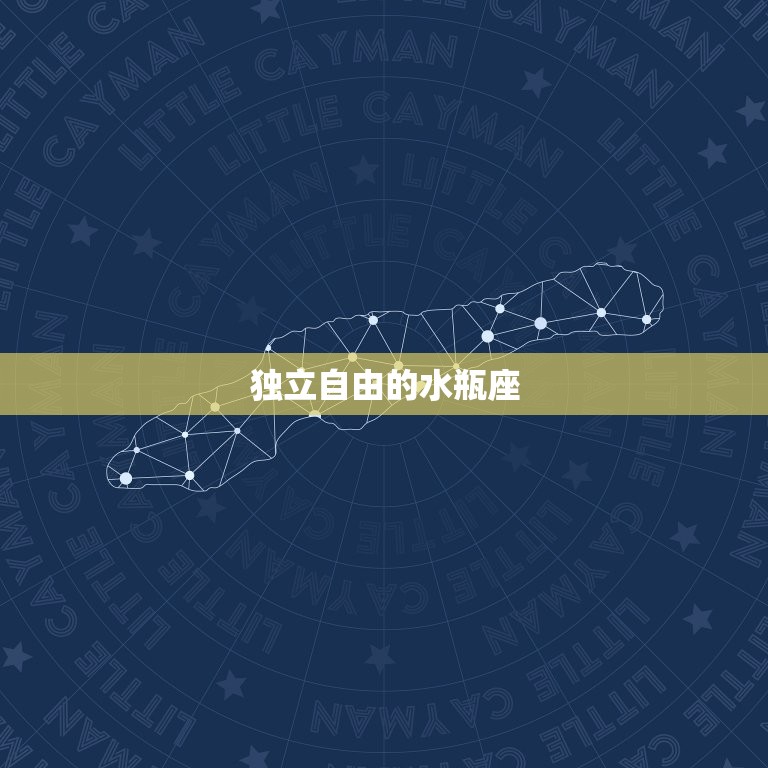 上升水瓶座下降狮子座(独特个性的介绍)