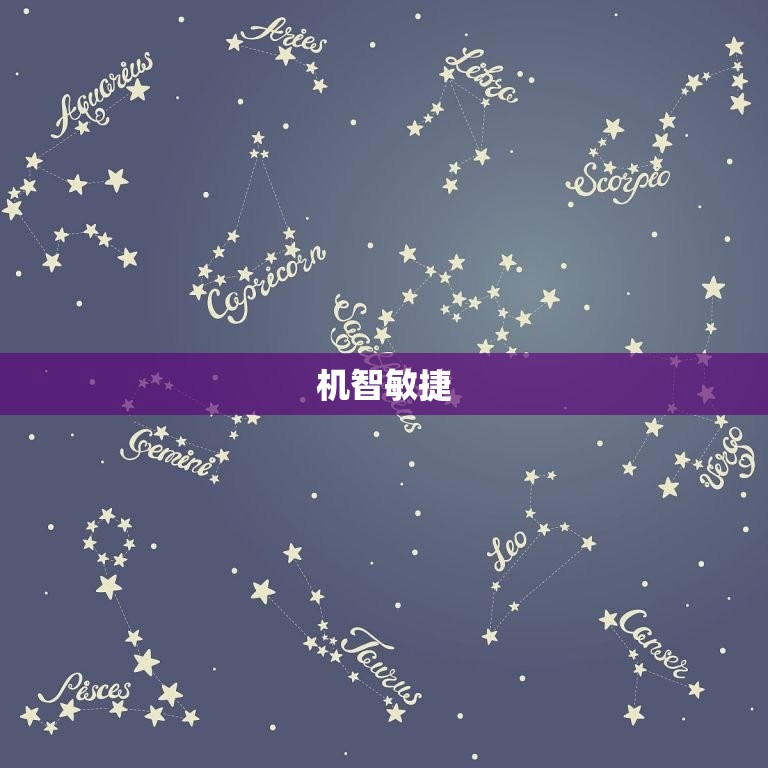 机智敏捷