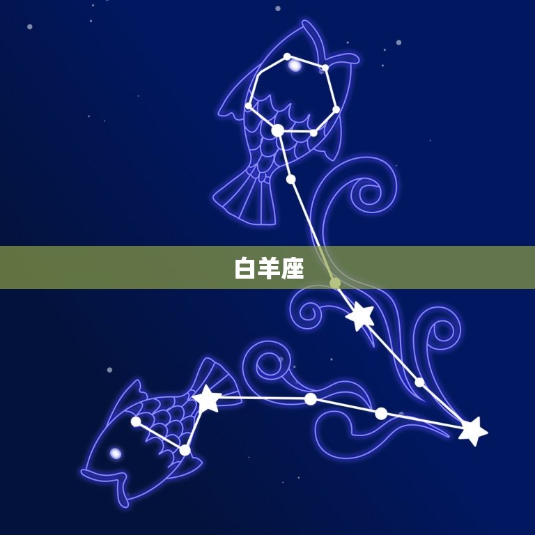 十二星座谁是爱情高手(介绍星座中的爱情专家)