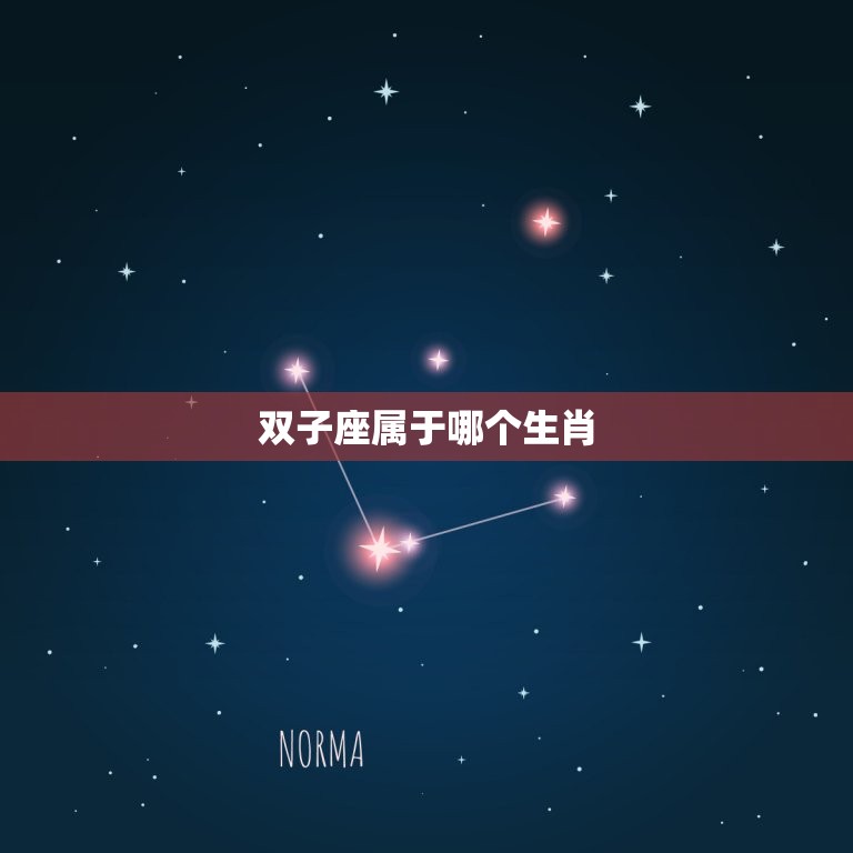 双子座属什么生肖厉害(探秘星座与生肖的奇妙关系)