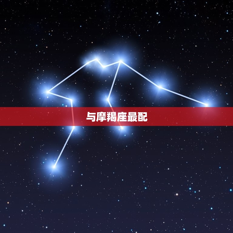 金牛座与什么星座最配(星座组合介绍)