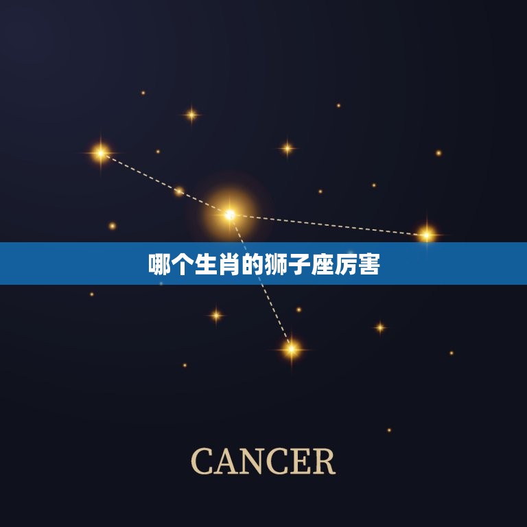 哪个生肖的狮子座厉害(介绍狮子座最强星座搭配)