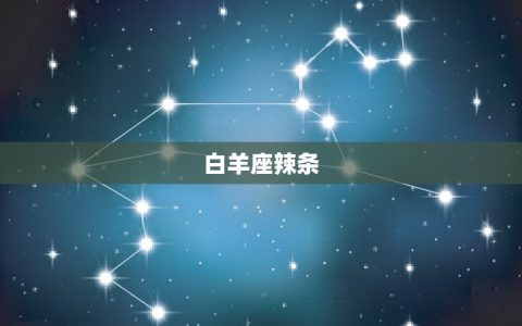 十二星座最喜欢的零食(星座探秘你的零食口味是什么)