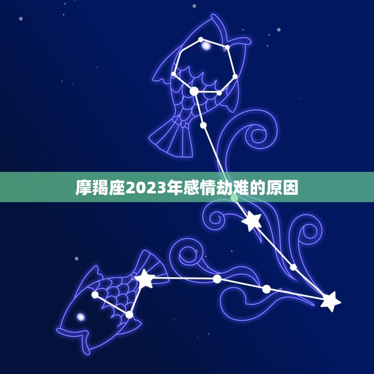 摩羯座2023感情劫(如何应对)