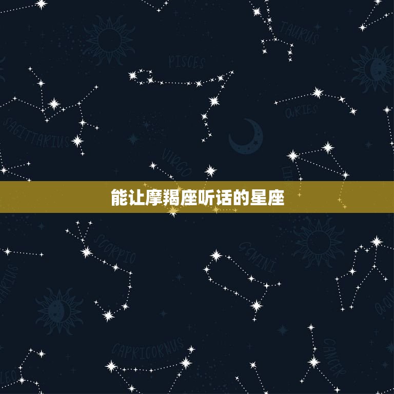 能让摩羯座听话的星座(如何让你的计划得到他们的支持)