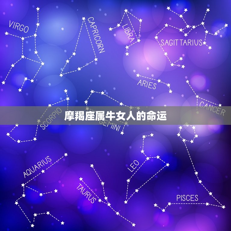 摩羯座属牛女人的命运(星座注定的坚韧与奋斗)