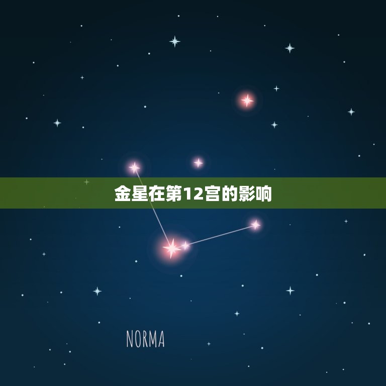金星12宫的感情混乱(如何应对)