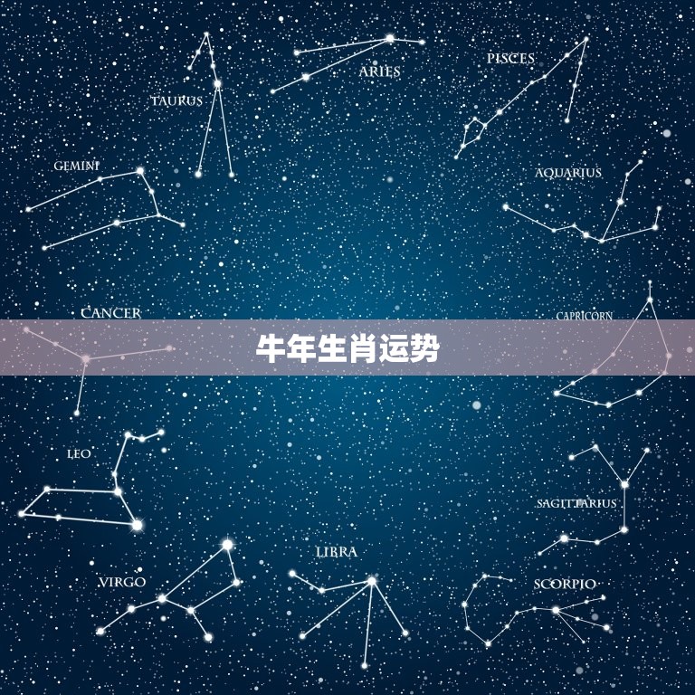 2023年命理生肖卡(预测你的运势)