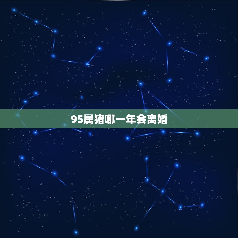 95属猪哪一年会离婚(猪年猪运不济婚姻危机难逃)