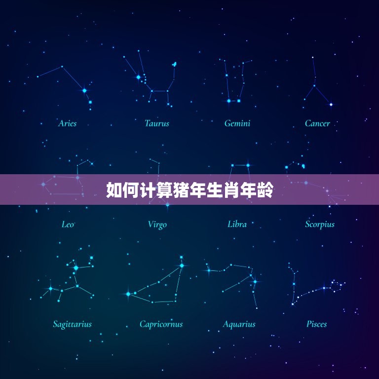 属猪今年什么多少岁了(猪年生肖年龄计算方法详解)