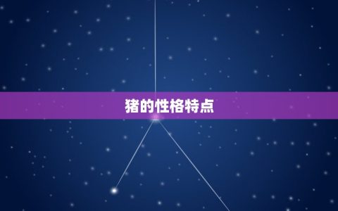 十二生肖猪跟什么三合(猪年搭档大介绍)