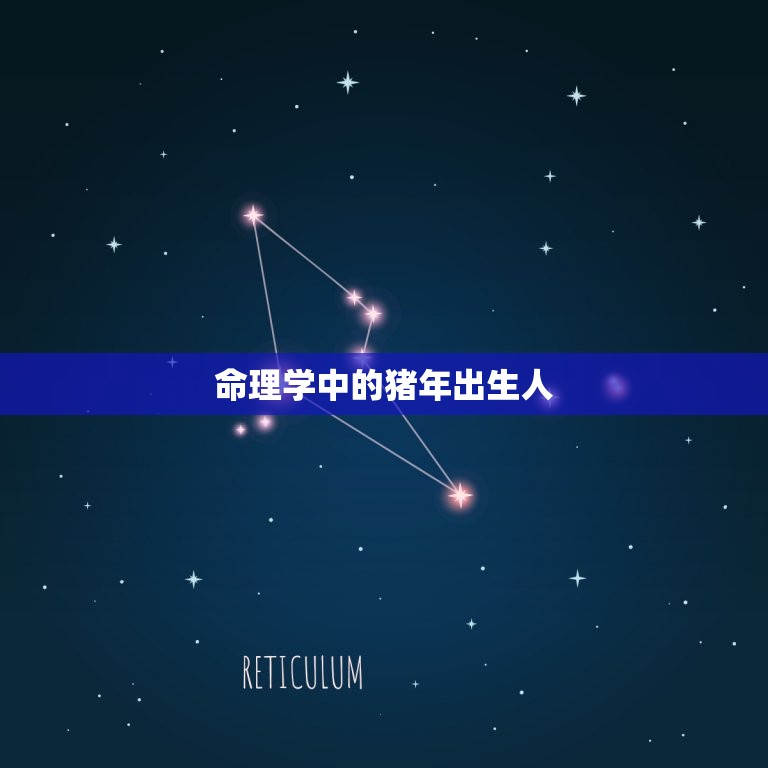 1983属猪命运如何(猪年出生的你未来会有怎样的命运)