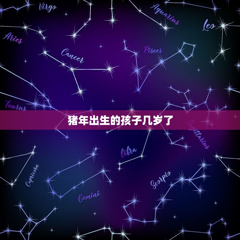 属相猪2023年年龄(猪年到猪宝宝几岁了)