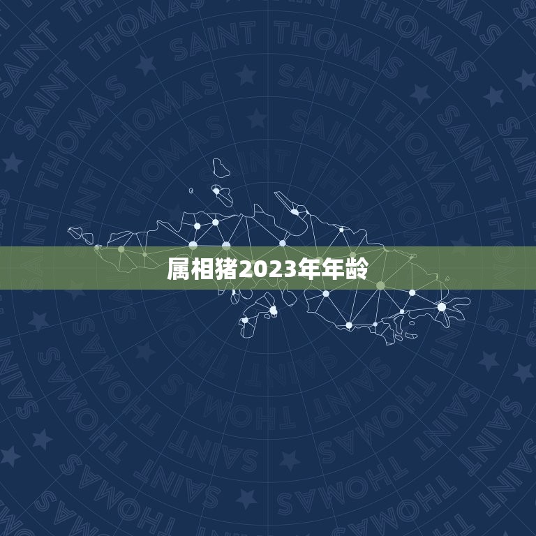 属相猪2023年年龄(猪年到猪宝宝几岁了)