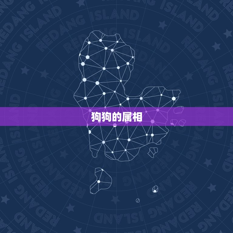 狗配的属相是什么(介绍狗狗姻缘的星座)
