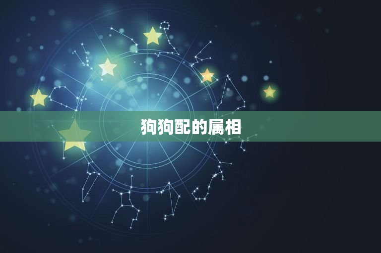 狗配的属相是什么(介绍狗狗姻缘的星座)