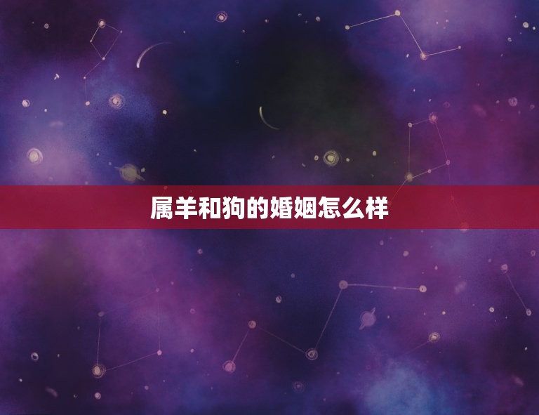 属羊和狗的婚姻怎么样(幸福共存还是难以相处)