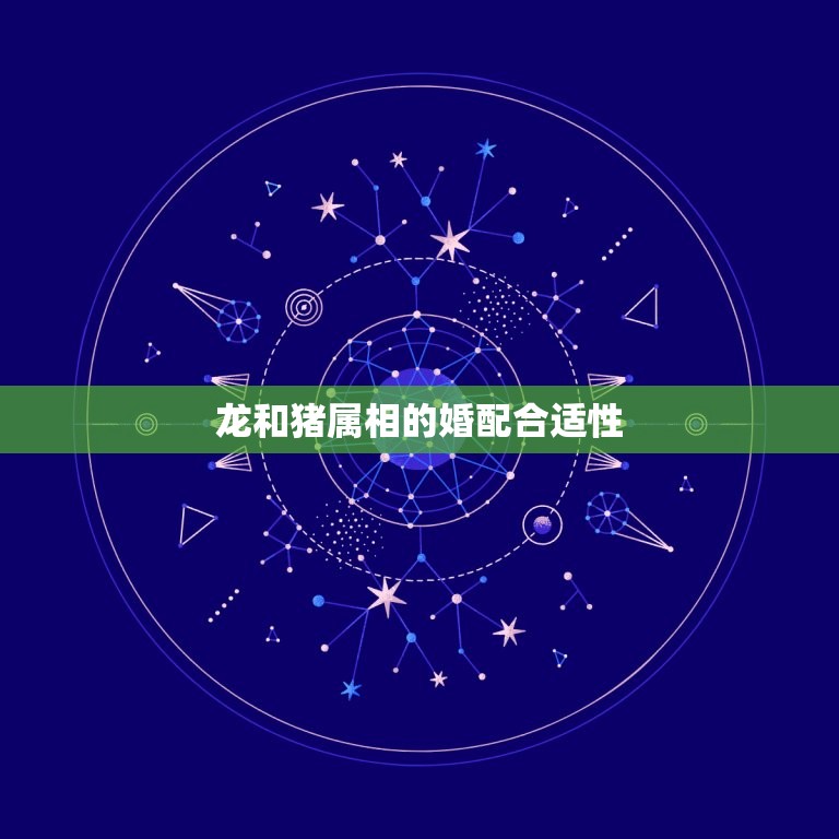 龙和猪属相婚配合不合(如何避免婚姻矛盾)
