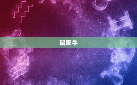 十二生肖婚姻搭配(解密哪些生肖最配)