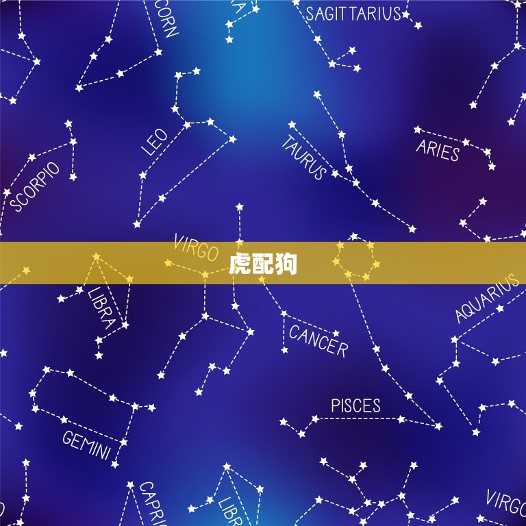 十二生肖婚姻搭配(解密哪些生肖最配)