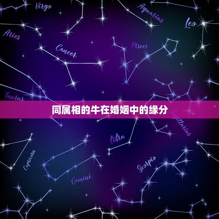 婚配属相牛与牛怎么样(同牛相恋缘定一生)