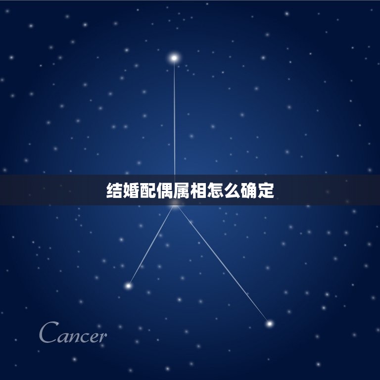 结婚配偶属相怎么确定(如何选择属相配偶)