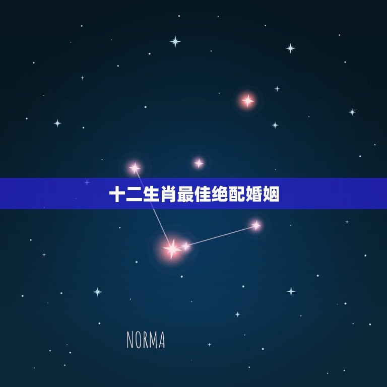 十二生肖绝配婚姻(配对幸福长久)