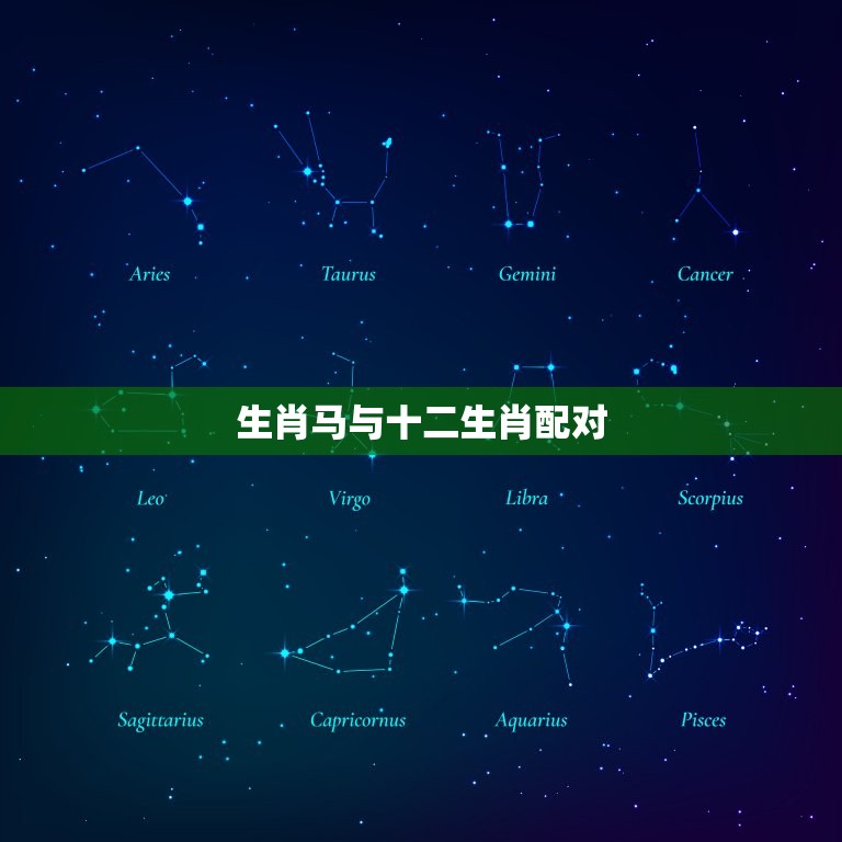生肖马与十二生肖配对(马与哪些生肖搭配)