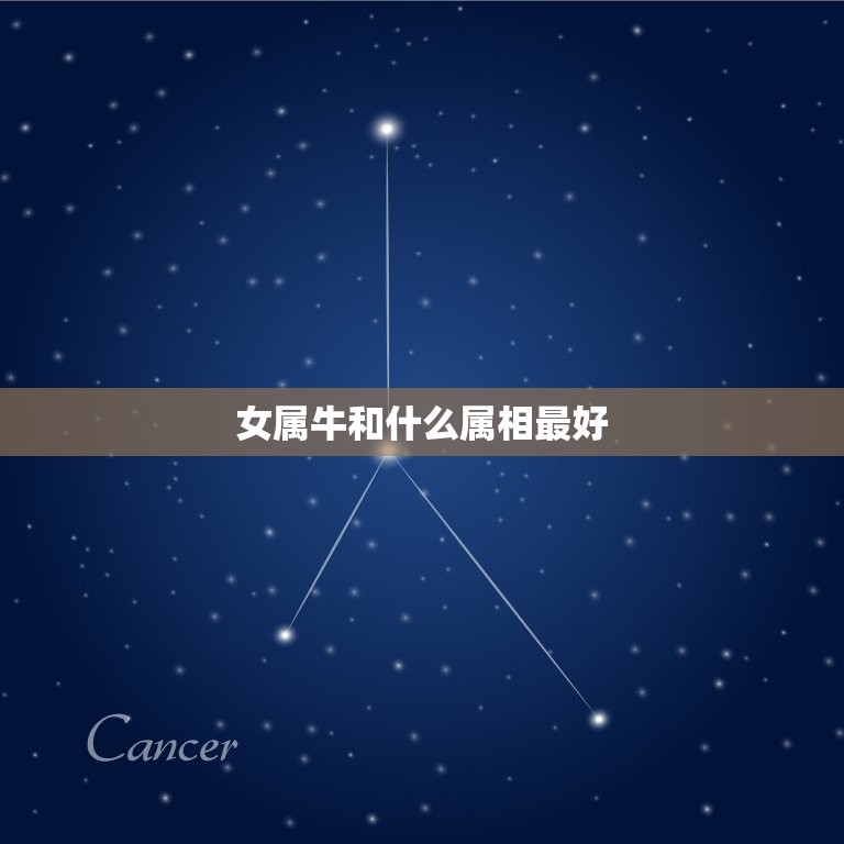女属牛和什么属相(配对指南)