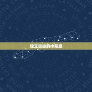 上升水瓶座下降狮子座(独特个性的介绍)