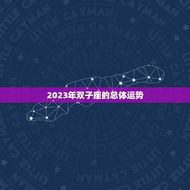 双子座22年运势详解(聪明机智的双子座2023年将迎来哪些挑战和机遇)