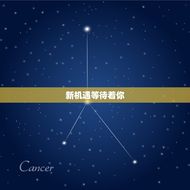 水瓶座最近一周的运势(新机遇等待着你)