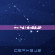 金牛座2023年感情(爱情运势大介绍)