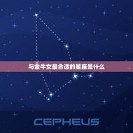金牛女和那个星座最合(星座配对大介绍)