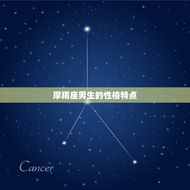 摩羯座男生特质是什么(介绍摩羯座男生的性格特点)