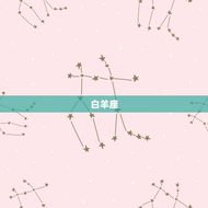 十二星座结婚婚的样子(星座婚礼浪漫、唯美、个性化)