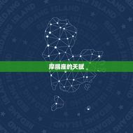 摩羯座是天才中的天才(探秘摩羯座的天赋与成功之路)