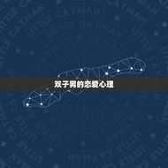双子男偏爱哪个星座女(介绍双子座男生的恋爱心理)