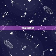 射手座女最近的桃花运(星座运势大介绍)