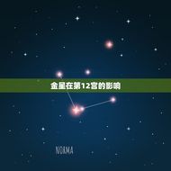 金星12宫的感情混乱(如何应对)