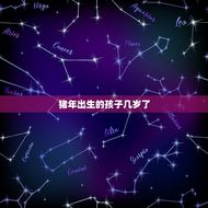 属相猪2023年年龄(猪年到猪宝宝几岁了)